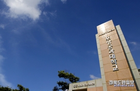 게시판 첨부 이미지